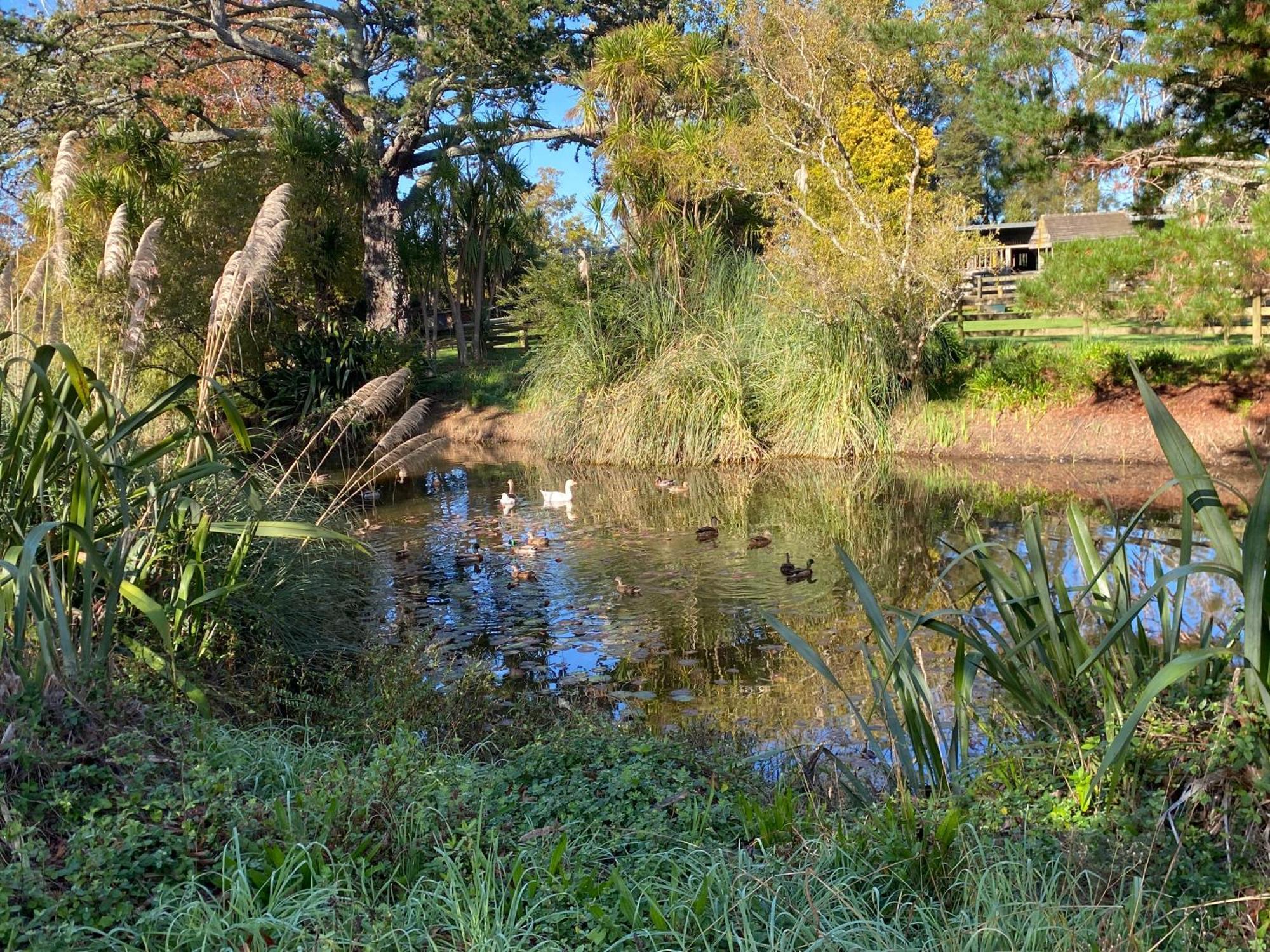Willows Reach Lodge Kumeu Dış mekan fotoğraf