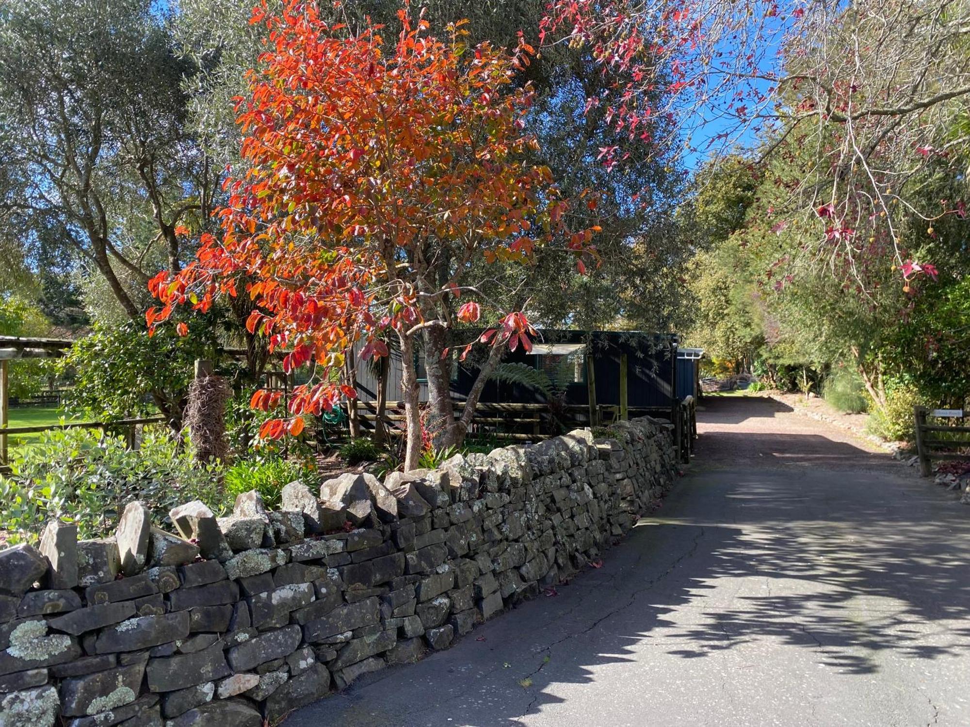 Willows Reach Lodge Kumeu Dış mekan fotoğraf
